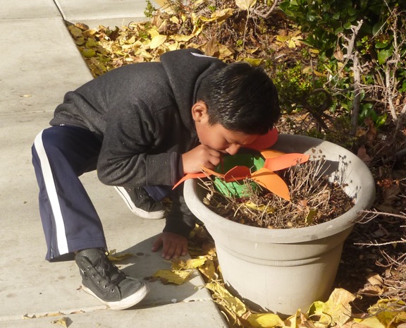 Class Photos-1050350