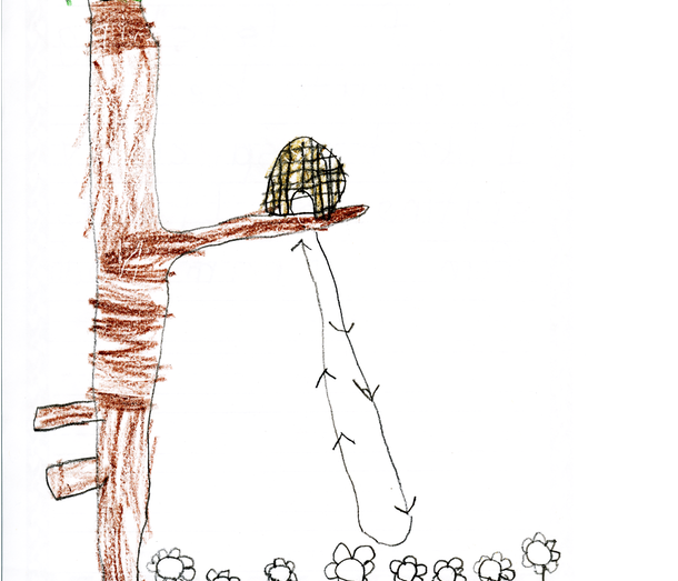 Bee Hive in Tree Bee Hive in Tree