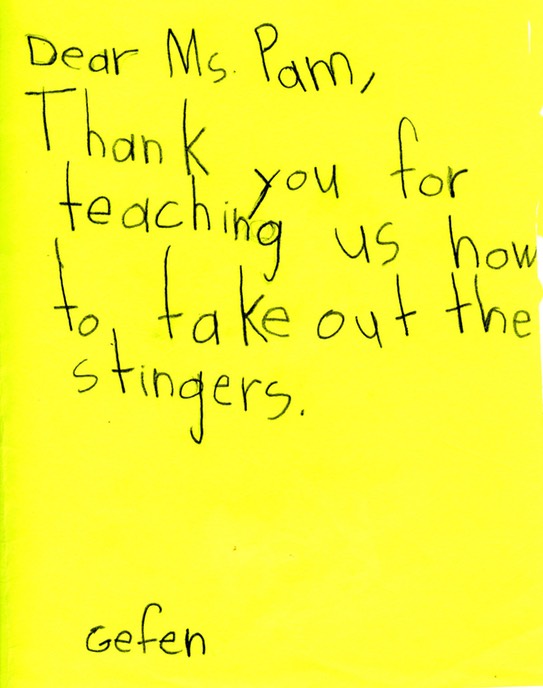 BeeLetter_Gefen_KInside005
